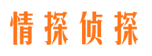 满城出轨调查